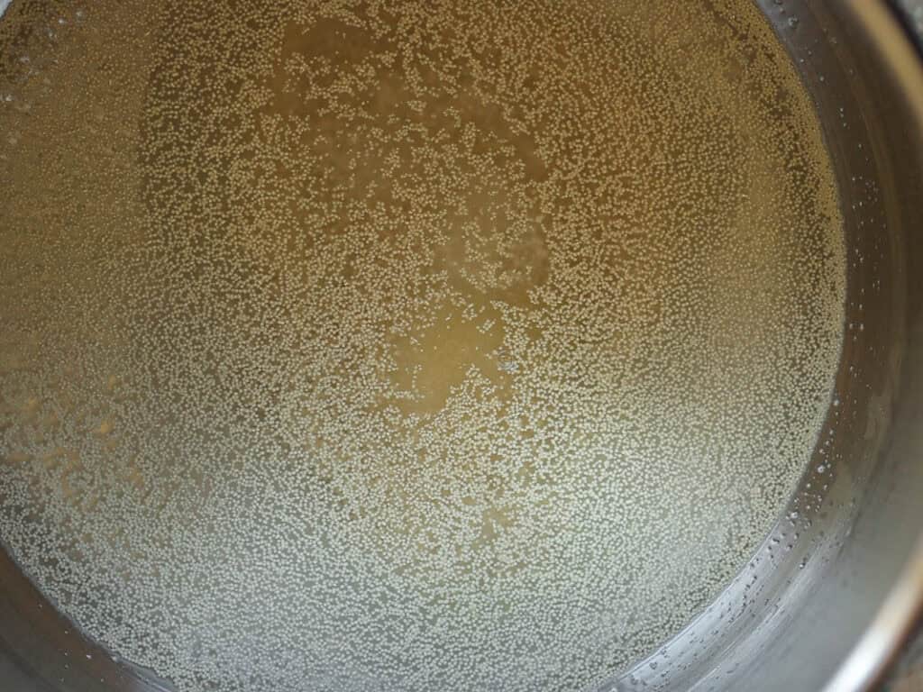 Yeast added to water in stand mixer bowl.